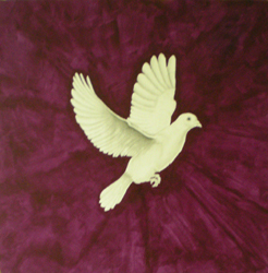 The Dove